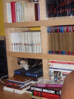 ukochana, bezpieczna melina w regale z książkami