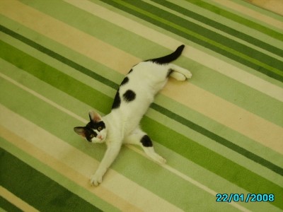 IMGP0389.JPG