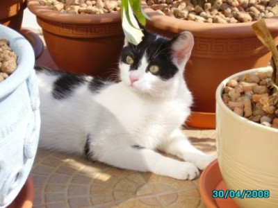 IMGP0840.JPG