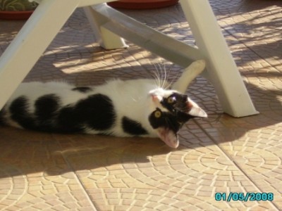 IMGP0845.JPG