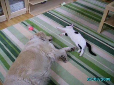 IMGP0696.JPG