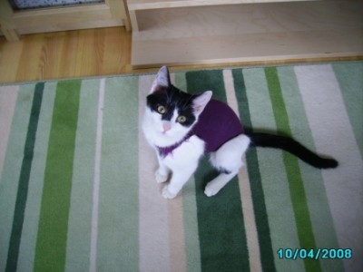 IMGP0773.JPG