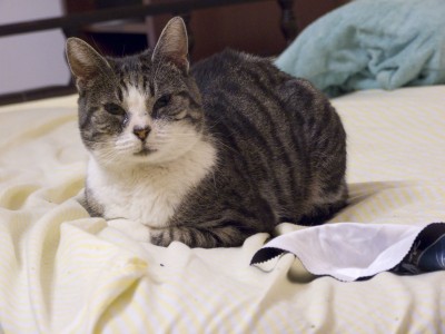 DSCF1337.JPG
