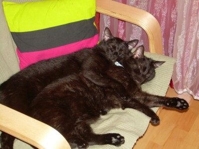 DSCN4438.JPG