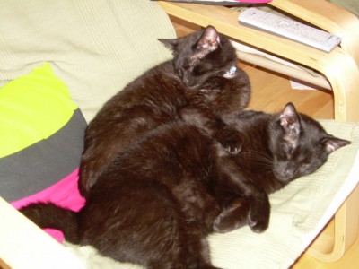 DSCN4512.JPG