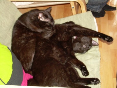 DSCN4514.JPG