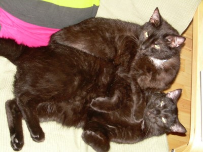 DSCN4518.JPG