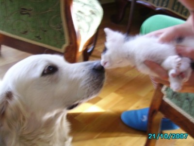 IMGP0219.JPG