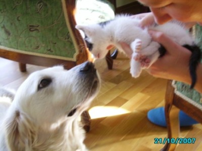 IMGP0218.JPG