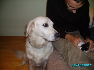 IMGP0172.JPG