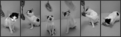 Picnik collage2.jpg