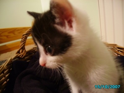 IMGP0129.JPG
