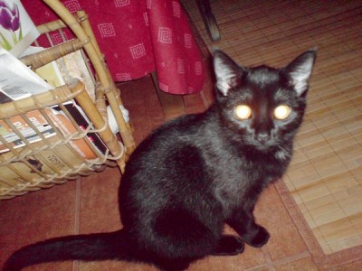 krycha.mia ufok.jpg