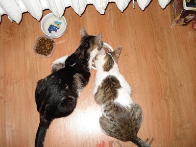 DSC01117.jpg