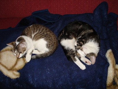 DSC01115.jpg