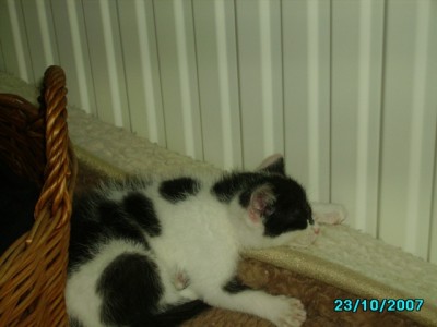 IMGP0229.JPG