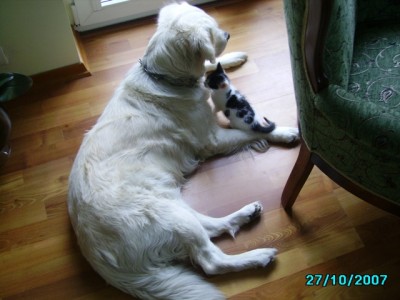 IMGP0246.JPG