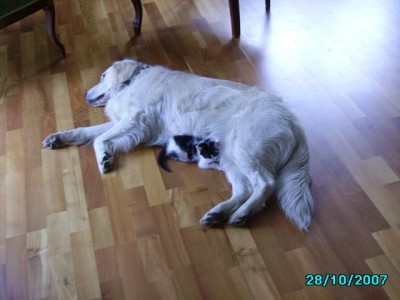 IMGP0249.JPG