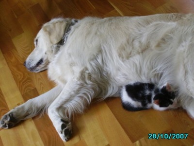 IMGP0251.JPG