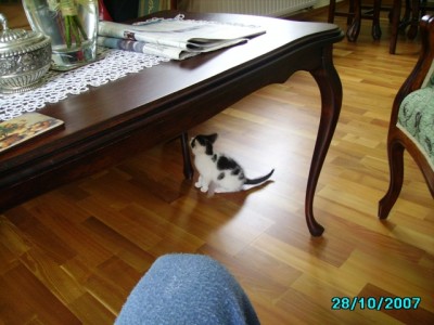 IMGP0266.JPG