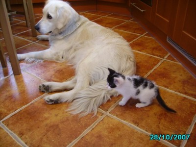 IMGP0276.JPG