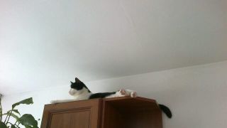 02062012357 zm.jpg